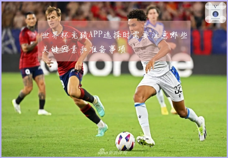 世界杯竞猜APP选择时需要注意哪些关键因素和准备事项