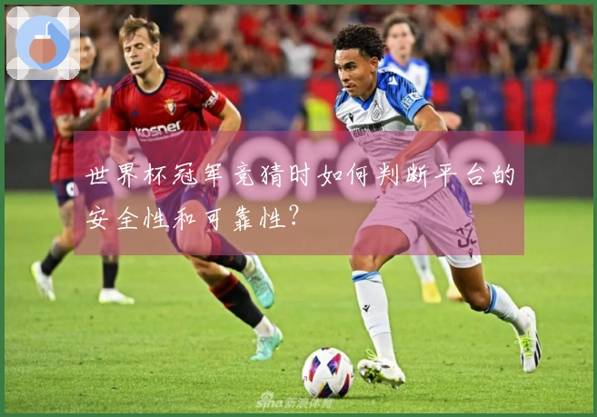世界杯冠军竞猜时如何判断平台的安全性和可靠性？