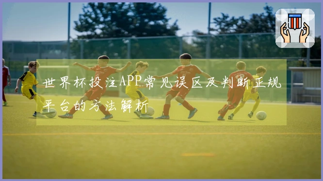 世界杯投注APP常见误区及判断正规平台的方法解析