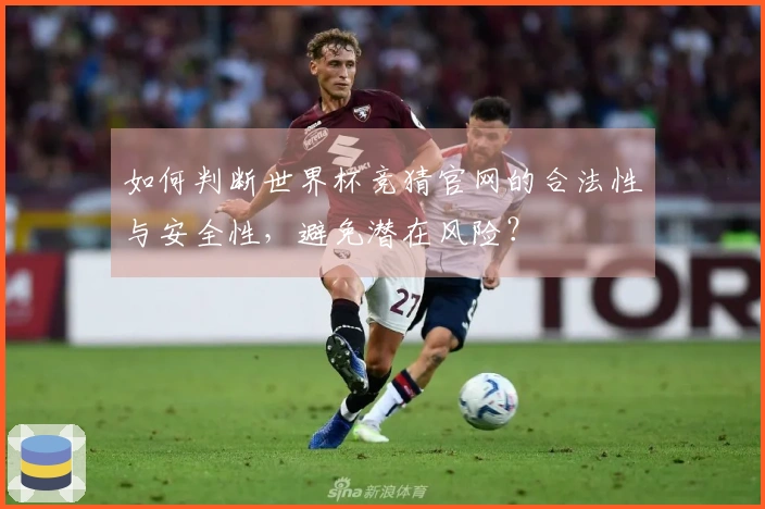 如何判断世界杯竞猜官网的合法性与安全性，避免潜在风险？