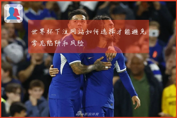 世界杯下注网站如何选择才能避免常见陷阱和风险