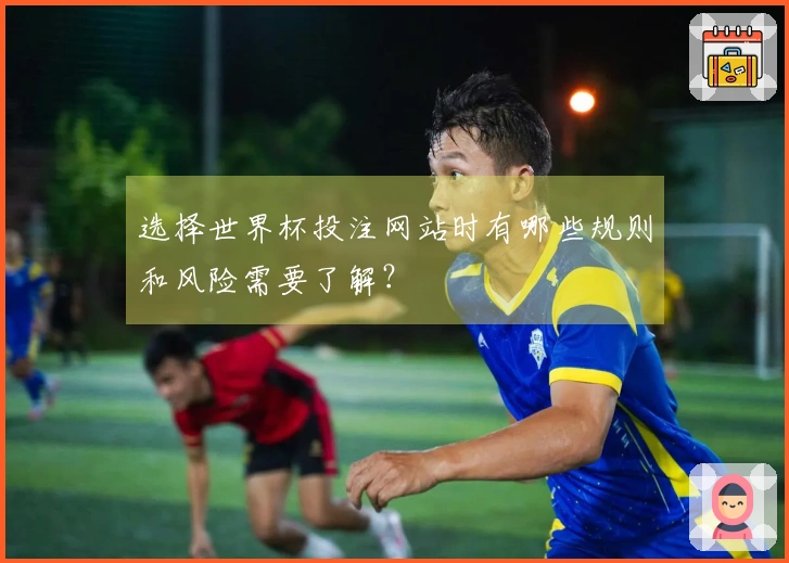 选择世界杯投注网站时有哪些规则和风险需要了解？