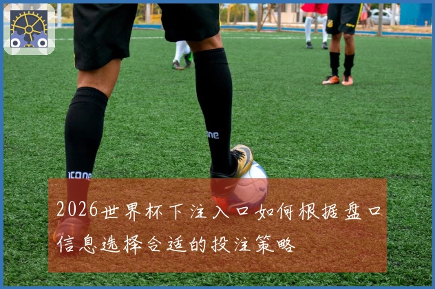 2026世界杯下注入口如何根据盘口信息选择合适的投注策略