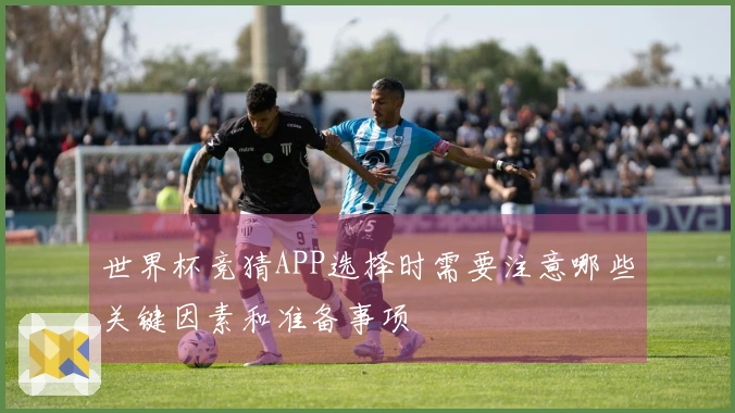 世界杯竞猜APP选择时需要注意哪些关键因素和准备事项