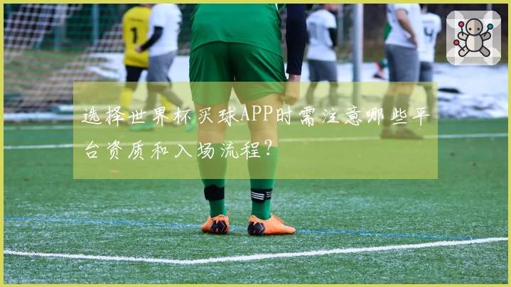 选择世界杯买球APP时需注意哪些平台资质和入场流程？