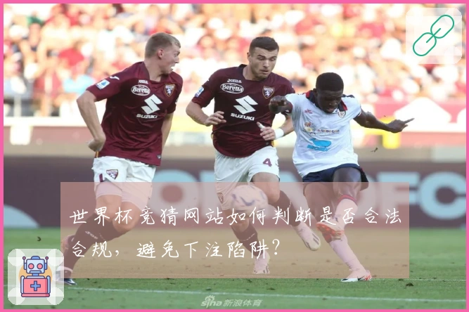 世界杯竞猜网站如何判断是否合法合规，避免下注陷阱？