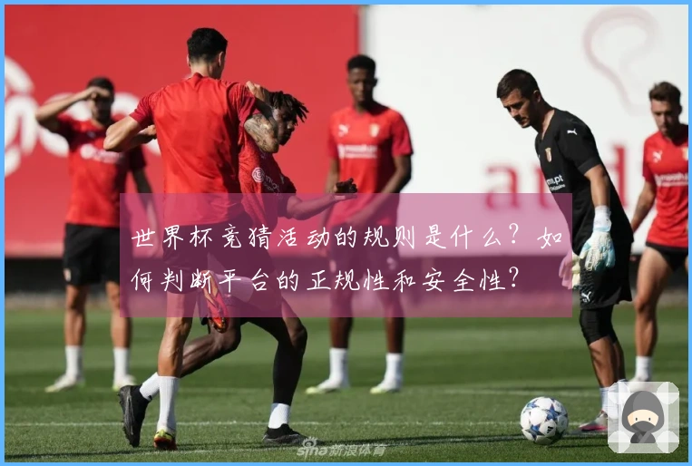 世界杯竞猜活动的规则是什么？如何判断平台的正规性和安全性？