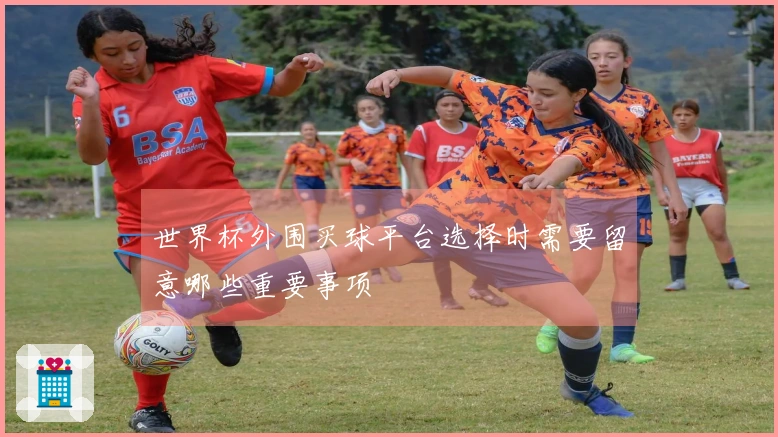 世界杯外围买球平台选择时需要留意哪些重要事项