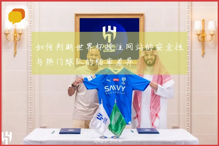 如何判断世界杯投注网站的安全性与热门球队的赔率差异