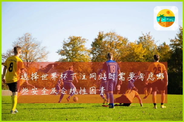 选择世界杯下注网站时需要考虑哪些安全及合规性因素