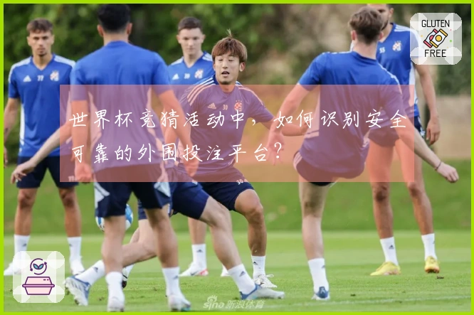 世界杯竞猜活动中,如何识别安全可靠的外围投注平台?