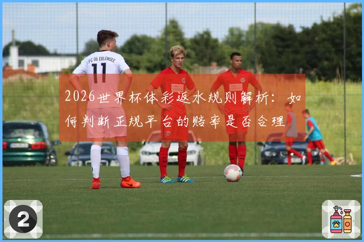 2026世界杯体彩返水规则解析：如何判断正规平台的赔率是否合理