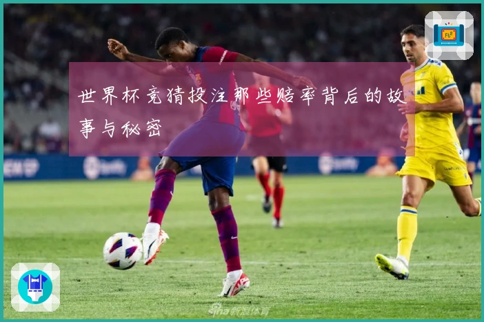 世界杯竞猜投注那些赔率背后的故事与秘密