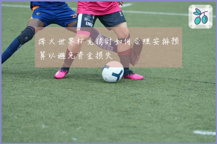 烽火世界杯竞猜时如何合理安排预算以避免资金损失