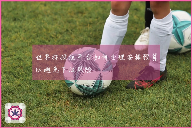 世界杯投注平台如何合理安排预算以避免下注风险
