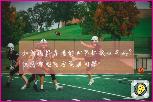 如何选择靠谱的世界杯投注网站？注意哪些官方渠道问题