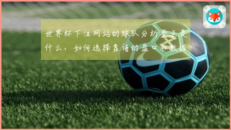 世界杯下注网站的球队分析要点是什么，如何选择靠谱的盘口和数据参考？
