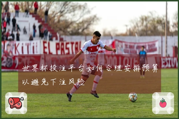 世界杯投注平台如何合理安排预算以避免下注风险