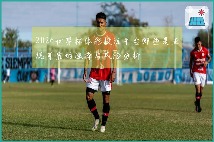 2026世界杯体彩投注平台哪些是正规可靠的选择与风险分析