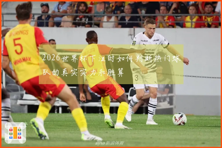 2026世界杯下注时如何判断热门球队的真实实力和胜算