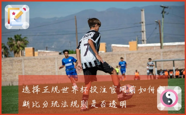 选择正规世界杯投注官网前如何判断比分玩法规则是否透明