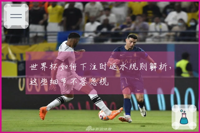 世界杯如何下注时返水规则解析，这些细节不容忽视