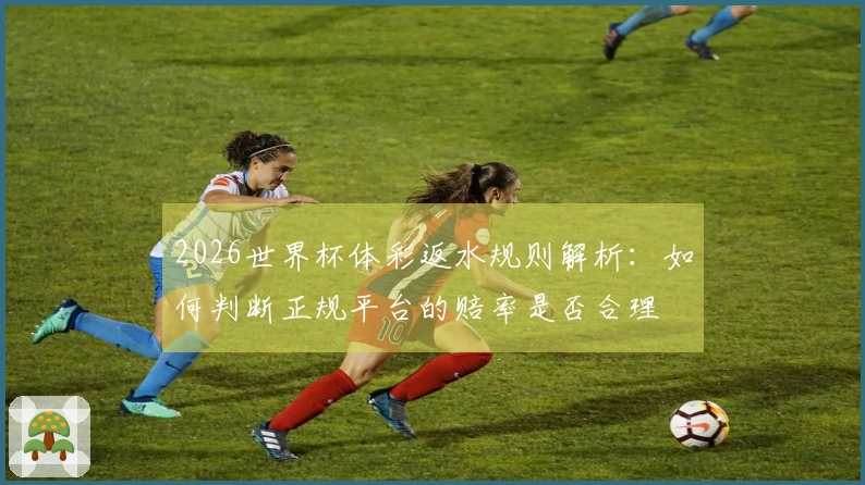 2026世界杯体彩返水规则解析：如何判断正规平台的赔率是否合理