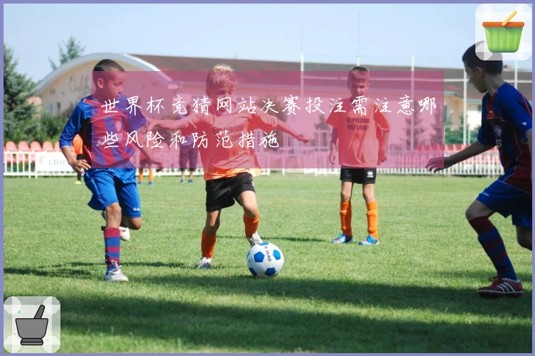 世界杯竞猜网站决赛投注需注意哪些风险和防范措施