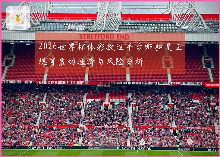 2026世界杯体彩投注平台哪些是正规可靠的选择与风险分析