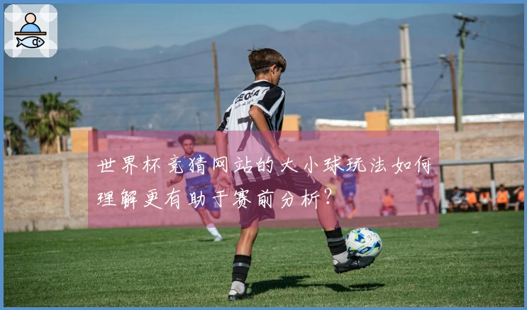 世界杯竞猜网站的大小球玩法如何理解更有助于赛前分析？