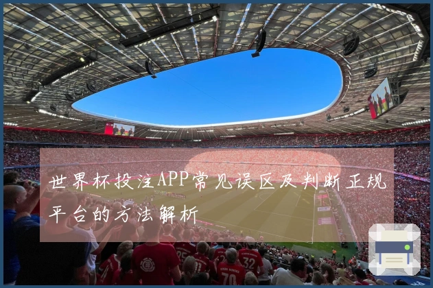 世界杯投注APP常见误区及判断正规平台的方法解析